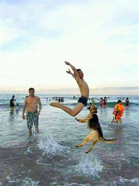 27 naughty beach pictures|39 Hilarious Beach Photos Gone Wrong .